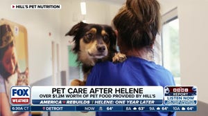 More than $1.2M in pet food donated after Hurricane Helene