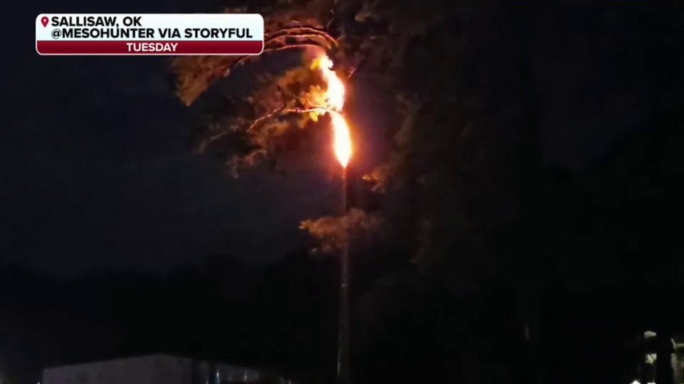 During thunderstorms on Tuesday, a tree hit by lightning burst into flames in eastern Oklahoma. Smoke and embers spewed from the fire as it scorched the tree. 