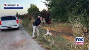 Oklahoma deputies help baby deer stuck on a fence