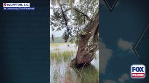 Watch: King Tide flooding reports in South Carolina