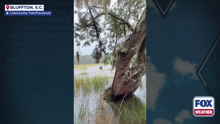 Watch: King Tide flooding reports in South Carolina