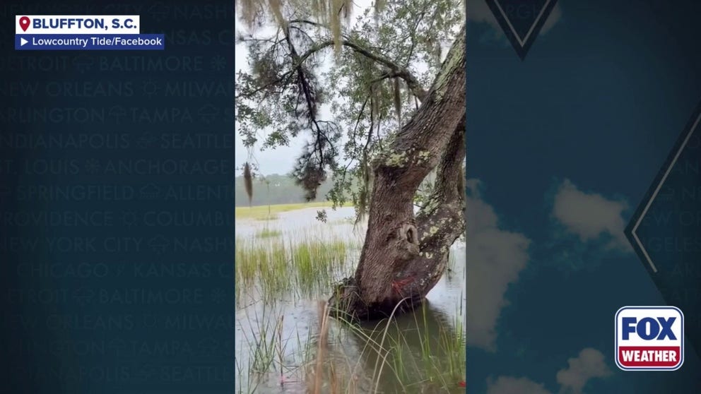 A video shared from Bluffton, Soth Carolina, shows heavy rain falling as the King Tide floods the area on Sunday, Oct. 5, 2025.