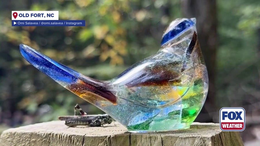 North Carolina artist creates ‘Bluebirds of Hope’ from glass shattered by Helene