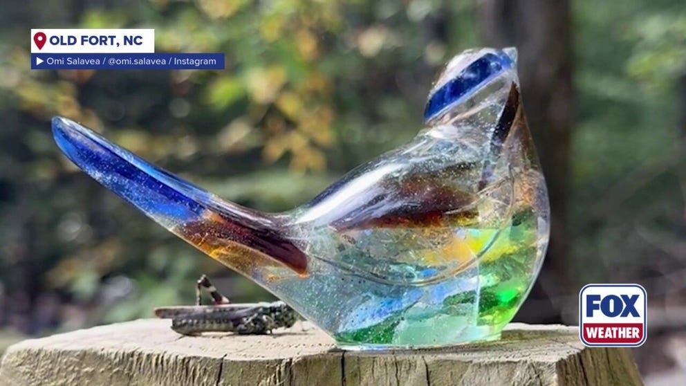 An artist in western North Carolina is creating beauty from the devastation of Helene, as her community continues to recover one year after the historic storm.