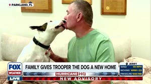 A Real Trooper: Abandoned Dog Left For Dead Finds New, Loving Home One Year After Hurricane Milton