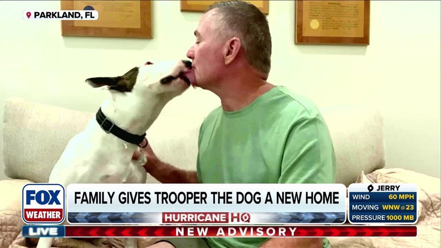 A Real Trooper: Abandoned Dog Left For Dead Finds New, Loving Home One Year After Hurricane Milton