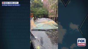 Watch: Trees crush cars in New York City as deadly nor'easter rips across Northeast