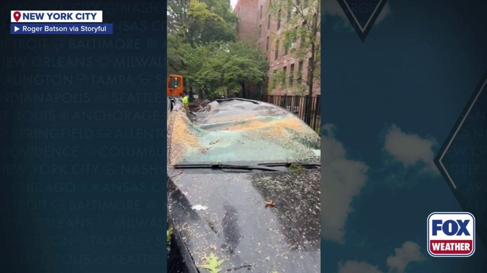 A video shared from Queens in New York City shows several cars that were crushed by fallen trees as a deadly nor'easter tore across the Northeast on Oct. 13, 2025.