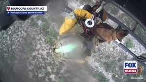 Dog rescued after falling down canyon in Arizona