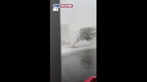 Tempe business owner captures moment microburst erupts with destructive winds and heavy rain