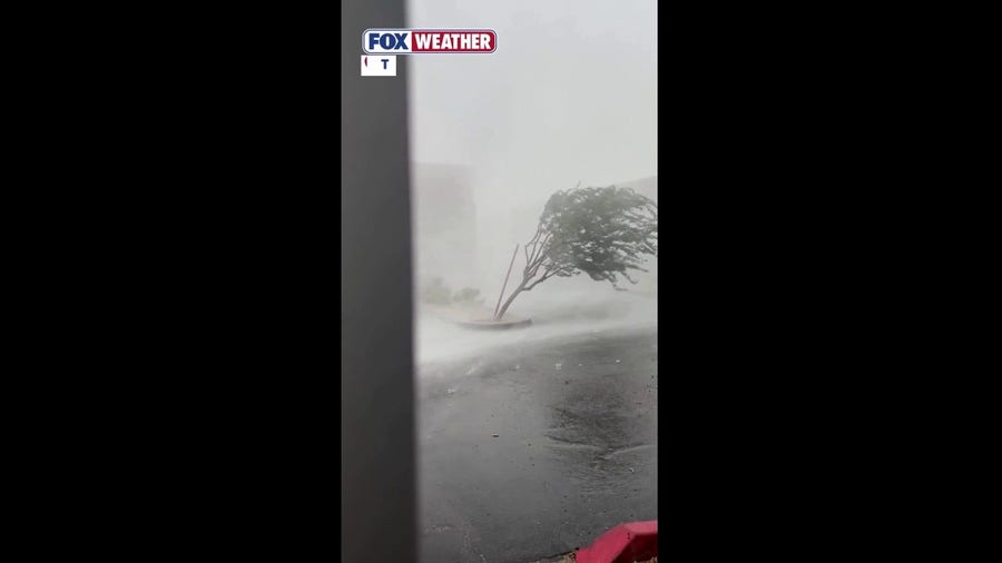 Tempe business owner captures moment microburst erupts with destructive winds and heavy rain