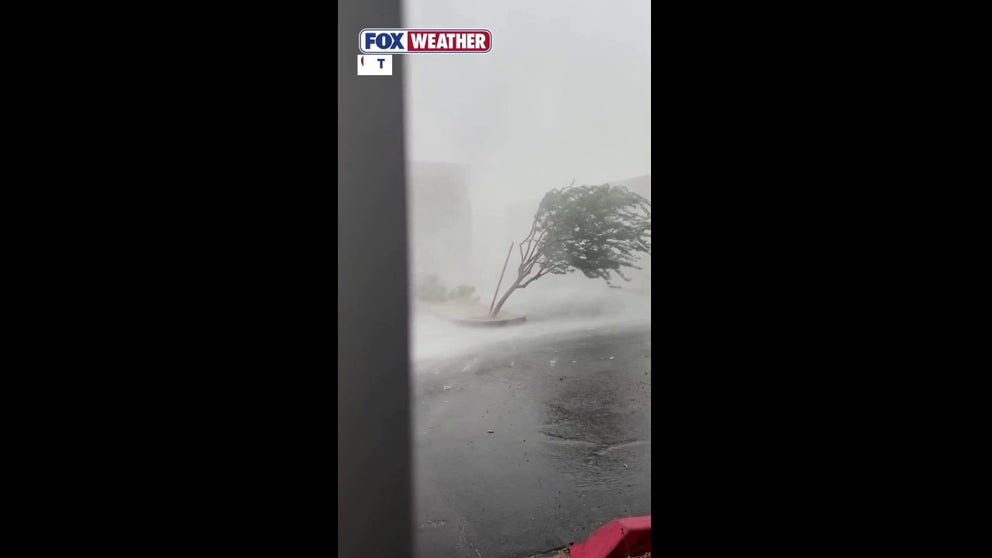 Dale Sievwright captured the moment a microburst erupted outside of his business, Autoplex Auto Service, seconds before high winds ripped off the doors of the building. 