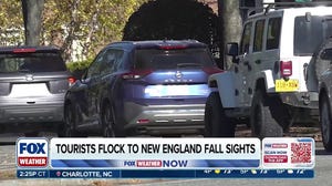 New England bombarded by leaf-peeping tourists 