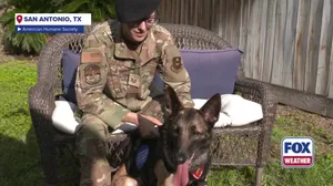 See emotional reunion between retired Air Force K-9 and her handler 