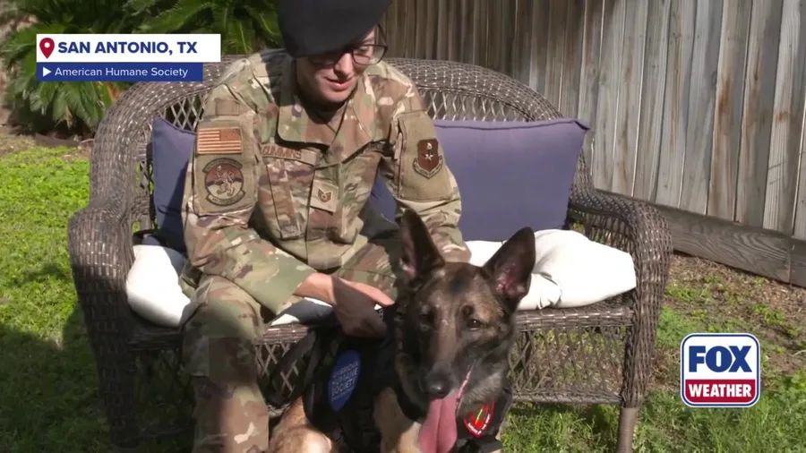 See emotional reunion between retired Air Force K-9 and her handler 