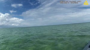 Good Samaritans rescue trapped loggerhead sea turtle 