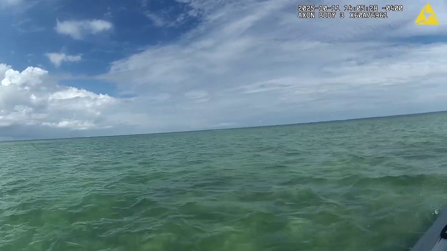 Good Samaritans rescue trapped loggerhead sea turtle 