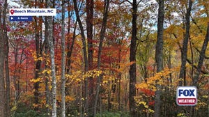 Colorful comeback for Beech Mountain fall leaf-peeping season 