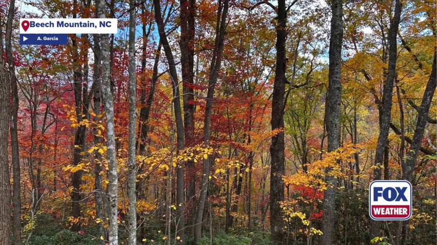 Colorful comeback for Beech Mountain fall leaf-peeping season 