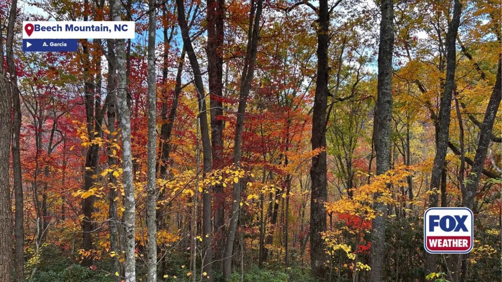 Fall colors are in full swing for Beech Mountain, North Carolina along the Blue Ridge Parkway.