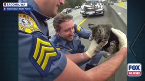 Kitten meows with deputy who saved him from Washington freeway