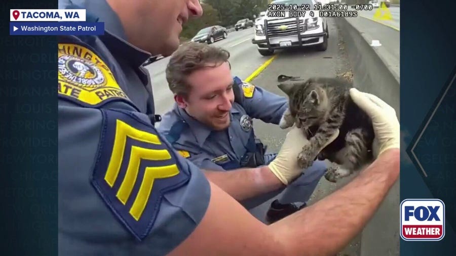 Kitten meows with deputy who saved him from Washington freeway