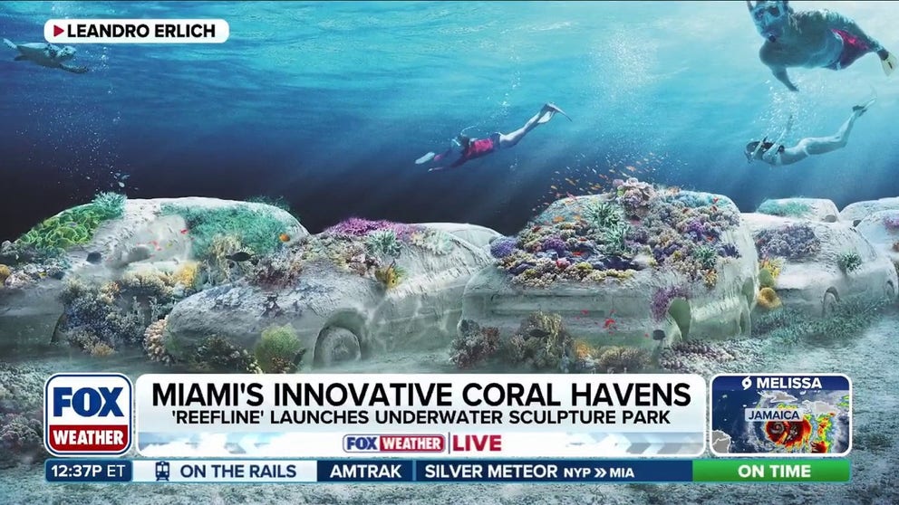 FOX Weather Correspondent Brandy Campbell reports from Miami Beach where life-size concrete cars are being submerged under the ocean to create a new coral reef. 