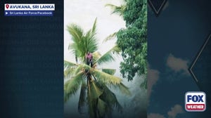 Watch: Man rescued from atop coconut tree during flooding in Sri Lanka