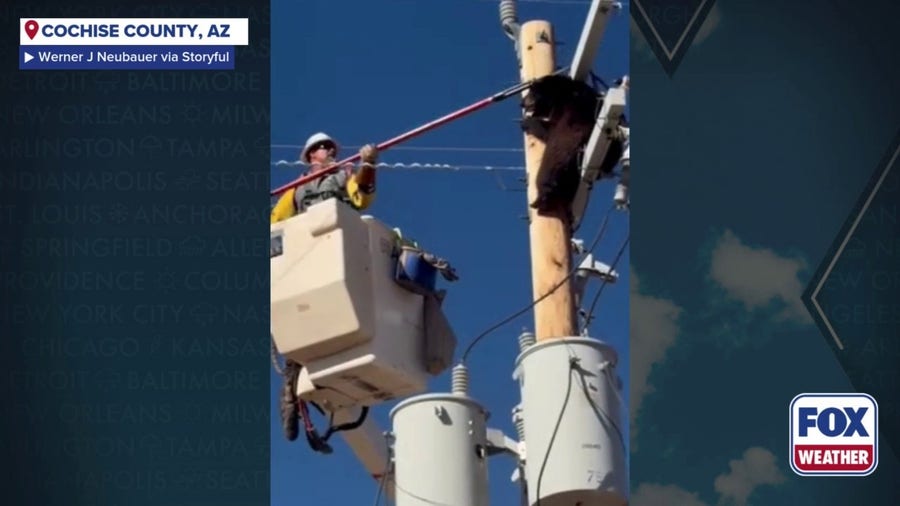 Lineman Saves Bear In Danger Of Electrocution In Cochise County, Arizona