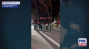 Watch: Florida police wrestle 600-pound gator