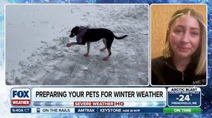 Keeping pets safe during extreme cold and winter weather