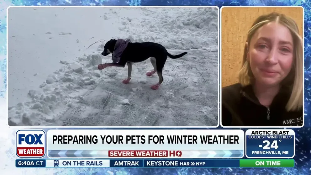 When it's cold outside you bundle up to stay warm, so it's important to learn how to protect your pets during the extreme cold, too. Dr. Carly Fox, senior veterinarian at Schwarzman Animal Medical Center, joins FOX Weather to give some tips to keep your pets safe.