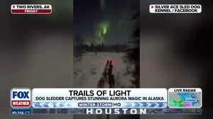 Aurora borealis shines overhead of a dog sledder