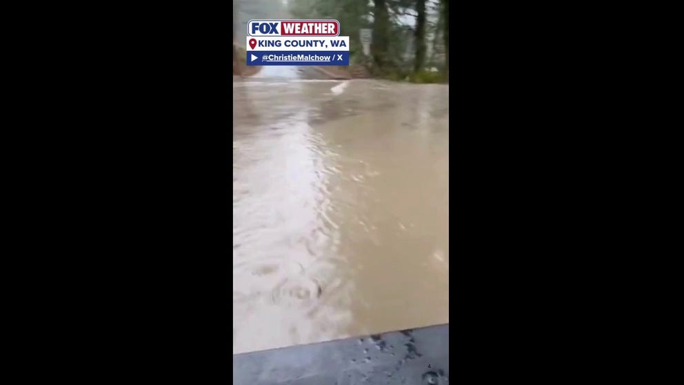 Christine Malchow and her two dogs were saved by her neighbors from rising floodwaters. The creek near her home rose 2 to 3 inches on Wednesday.