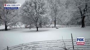 New York City was covered in snow on Sunday morning