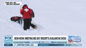 Big Sky Resort's avalanche dogs help keep the slopes safe