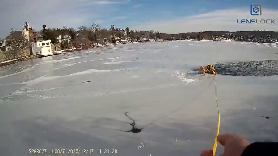 First responders leap into action to rescue a dog from frozen lake