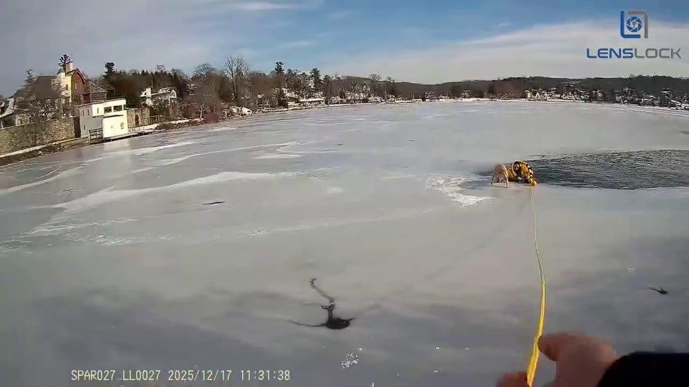 Patrolman Michael Poon leaps into a frozen lake in New Jersey to save a dog that fell through the ice.