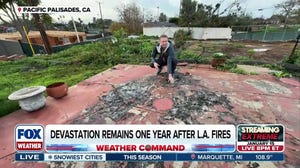 Devastation remains one year after southern California wildfires