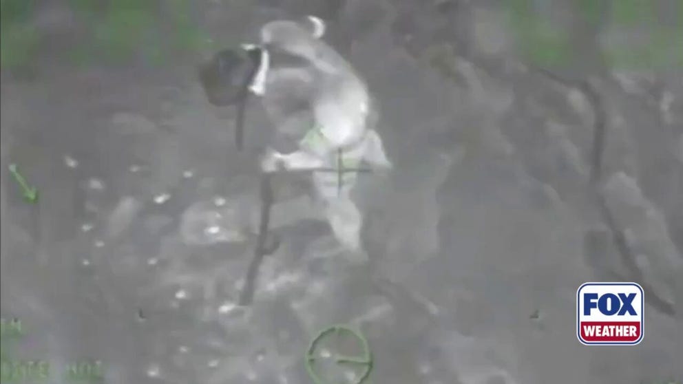 The U.S. Coast Guard utilizes an MH-60 Jayhawk Helicopter to rescue a 68-year-old surfer in Puerto Rico on Jan. 9.