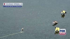 Watch: Injured deer rescued from middle of frozen reservoir in Colorado