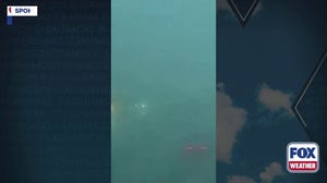 Heavy fog in Washington State