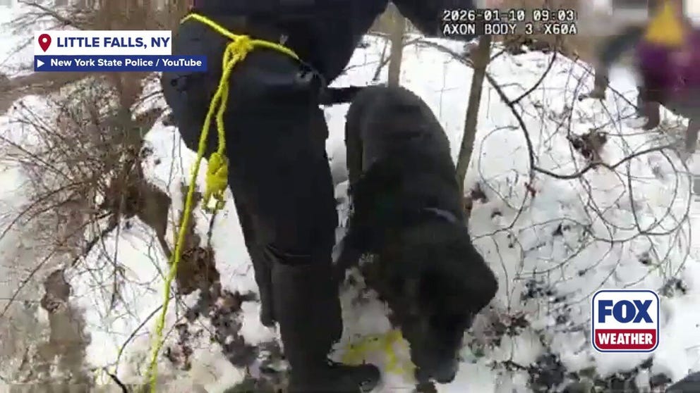 First responders jump into action to rescue a woman and her dog after they fell into an icy canal in upstate New York.