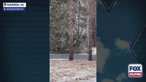 Snow falling in Warren, NJ