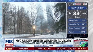 Snow starts falling in New York City