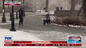 Useful tips to keep your pets safe during this historic winter storm