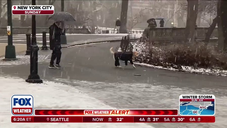 Useful tips to keep your pets safe during this historic winter storm