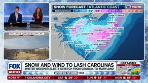 Winter weather alerts in effect from Georgia to Maryland as nor'easter prepares to smack East Coast
