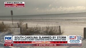Nor'easter wallops South Carolina creating treacherous travel conditions