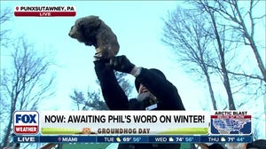 Happy Groundhog Day: Punxsutawney Phil delivers 2026 winter forecast